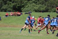 Endeavour Gala Day – U14s – Endeavour v Illawarra