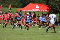 Endeavour Gala Day – U14s – Endeavour v Illawarra