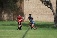 Endeavour Gala Day – U14s – Endeavour v Illawarra