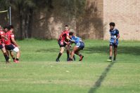 Endeavour Gala Day – U14s – Endeavour v Illawarra