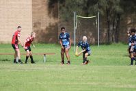 Endeavour Gala Day – U14s – Endeavour v Illawarra