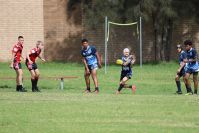 Endeavour Gala Day – U14s – Endeavour v Illawarra