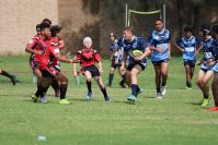 Endeavour Gala Day – U14s – Endeavour v Illawarra