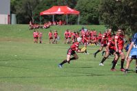 Endeavour Gala Day – U14s – Endeavour v Illawarra