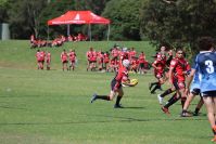 Endeavour Gala Day – U14s – Endeavour v Illawarra