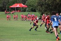 Endeavour Gala Day – U14s – Endeavour v Illawarra