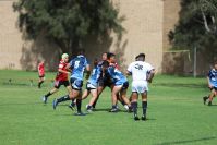 Endeavour Gala Day – U14s – Endeavour v Illawarra