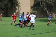 Endeavour Gala Day – U14s – Endeavour v Illawarra