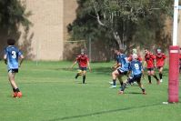 Endeavour Gala Day – U14s – Endeavour v Illawarra