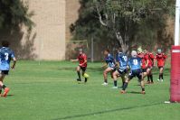 Endeavour Gala Day – U14s – Endeavour v Illawarra