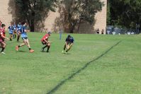 Endeavour Gala Day – U14s – Endeavour v Illawarra