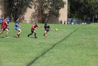 Endeavour Gala Day – U14s – Endeavour v Illawarra