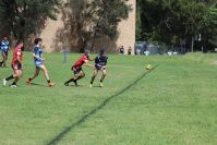 Endeavour Gala Day – U14s – Endeavour v Illawarra