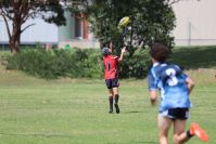 Endeavour Gala Day – U14s – Endeavour v Illawarra