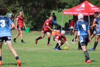 Endeavour Gala Day – U14s – Endeavour v Illawarra