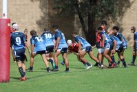 Endeavour Gala Day – U14s – Endeavour v Illawarra