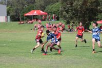 Endeavour Gala Day – U14s – Endeavour v Illawarra