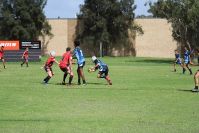 Endeavour Gala Day – U14s – Endeavour v Illawarra