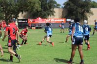 Endeavour Gala Day – U14s – Endeavour v Illawarra