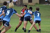 Endeavour Gala Day – U15s – Endeavour v Illawarra