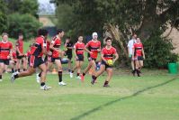 Endeavour Gala Day – U15s – Endeavour v Illawarra