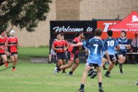 Endeavour Gala Day – U15s – Endeavour v Illawarra