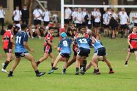 Endeavour Gala Day – U15s – Endeavour v Illawarra
