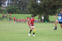 Endeavour Gala Day – U15s – Endeavour v Illawarra