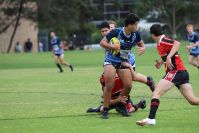 Endeavour Gala Day – U15s – Endeavour v Illawarra