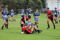 Endeavour Gala Day – U15s – Endeavour v Illawarra