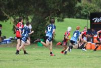 Endeavour Gala Day – U15s – Endeavour v Illawarra