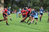 Endeavour Gala Day – U15s – Endeavour v Illawarra