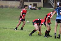 Endeavour Gala Day – U15s – Endeavour v Illawarra