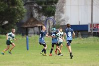 Endeavour Gala Day – U13s – Hunter v Illawarra