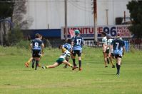 Endeavour Gala Day – U13s – Hunter v Illawarra