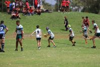 Endeavour Gala Day – U13s – Hunter v Illawarra
