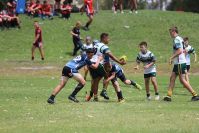 Endeavour Gala Day – U13s – Hunter v Illawarra