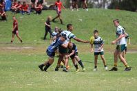 Endeavour Gala Day – U13s – Hunter v Illawarra