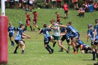 Endeavour Gala Day – U13s – Hunter v Illawarra