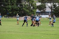 Endeavour Gala Day – U13s – Hunter v Illawarra