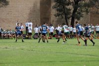 Endeavour Gala Day – U13s – Hunter v Illawarra