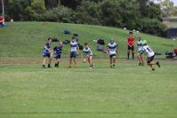 Endeavour Gala Day – U13s – Hunter v Illawarra