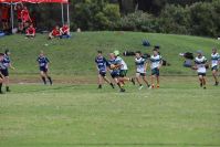 Endeavour Gala Day – U13s – Hunter v Illawarra