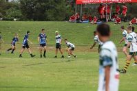 Endeavour Gala Day – U13s – Hunter v Illawarra