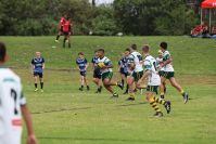 Endeavour Gala Day – U13s – Hunter v Illawarra