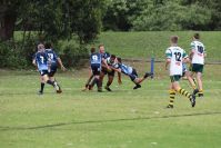 Endeavour Gala Day – U13s – Hunter v Illawarra