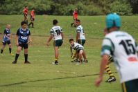 Endeavour Gala Day – U13s – Hunter v Illawarra