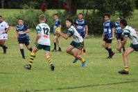 Endeavour Gala Day – U13s – Hunter v Illawarra