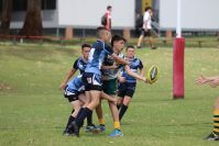 Endeavour Gala Day – U13s – Hunter v Illawarra