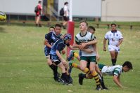 Endeavour Gala Day – U13s – Hunter v Illawarra